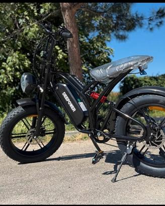 bicicletta elettrica 