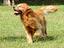 Immagine 10