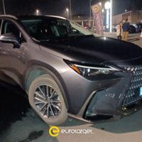 LEXUS NX 300 Plug-in 4WD Premium