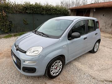 fiat panda 1.0 70 CV Hybrid neopatentati 