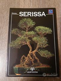 Mini guida bonsai
