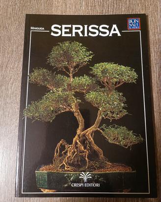 Mini guida bonsai