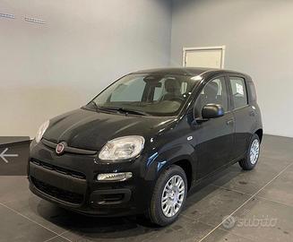 Fiat Panda 1.0 FireFly S&S Hybrid Icon