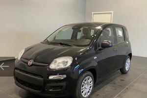 Fiat Panda 1.0 FireFly S&S Hybrid Icon
