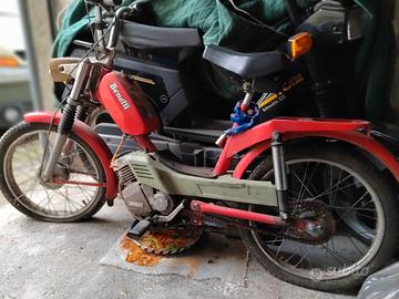 Motorino Benelli