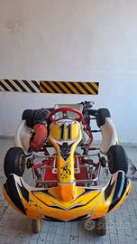 kart easy kart 60cc birel