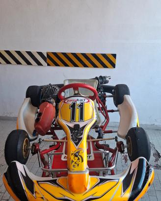 kart easy kart 60cc birel