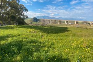 Terreno Agricolo in C/da Calatubo