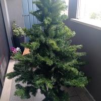 Albero di Natale Ecologico