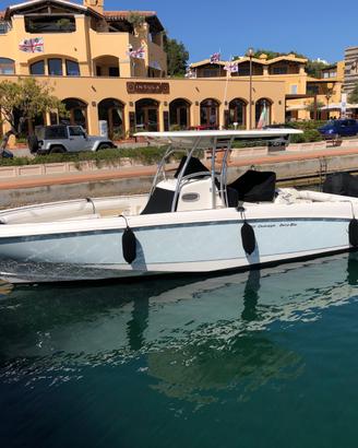 Boston Whaler Outrage 320