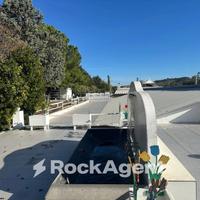 CAPANNONE CON ATTIVITA'