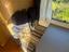 Immagine 9