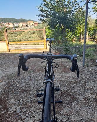 Bici da Corsa Carbonio BH Ultralight EVO (Tg. 53)