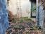 Immagine 20