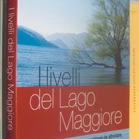 I livelli del lago Maggiore