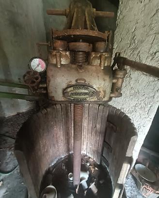 Torchi per uva