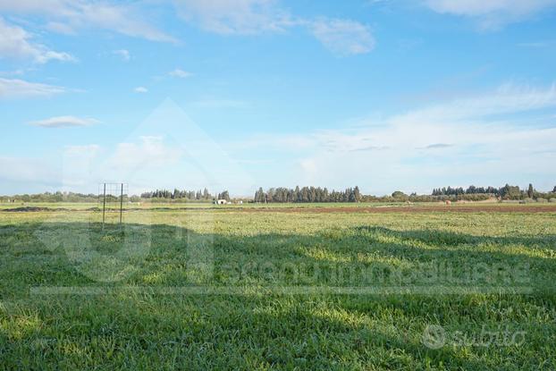 San Sperate terreno agricolo 29.900 mq