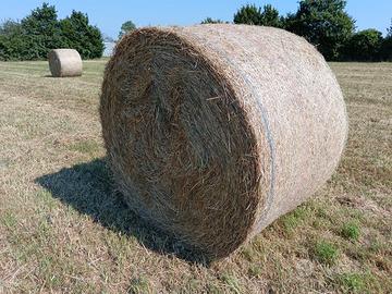 Rotoballe di fieno