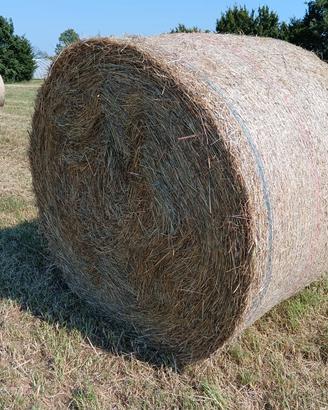 Rotoballe di fieno