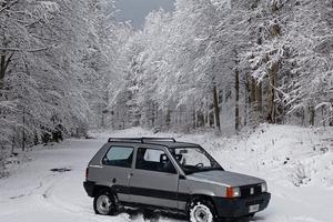 Fiat Panda 4x4 '92
