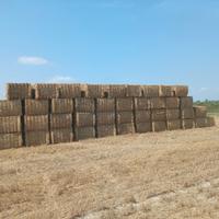 Paglia e erba medica