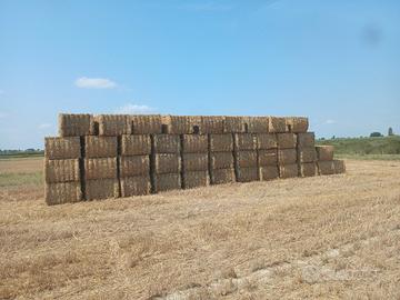 Paglia e erba medica