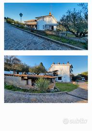 Villa con oliveto