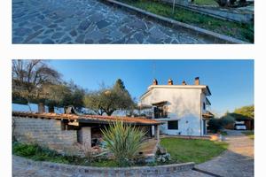 Villa con oliveto