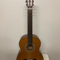 Chitarra classica Cort fretless