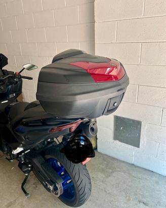 Bauletto T-Max