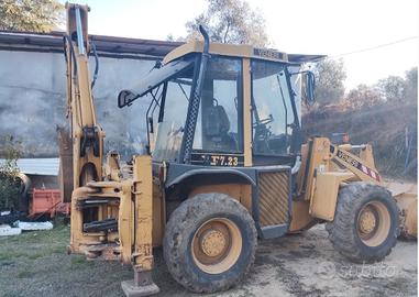 escavatore Terna Venieri 