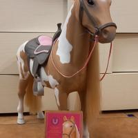 Cavallo Our Generation