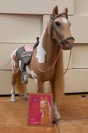 Cavallo Our Generation