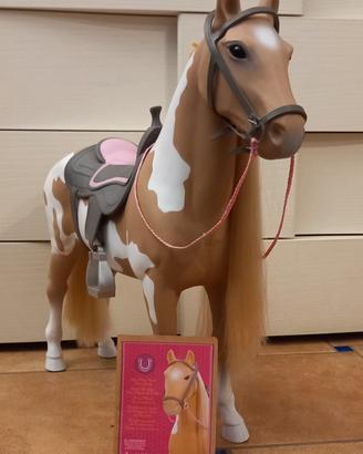 Cavallo Our Generation