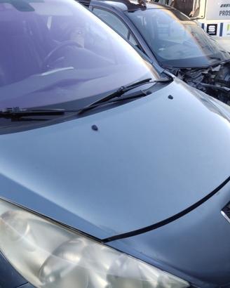 Cofano PEUGEOT 207 del 2007
