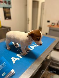 Cuccioli di jack russell