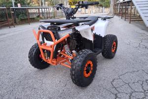 QUAD 125cc RUOTE 6 RETROMARCIA E PORTAPACCHI DV E 