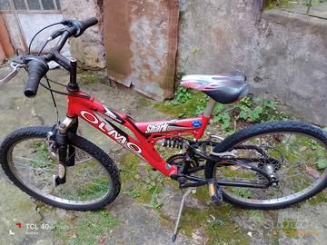 Bicicletta