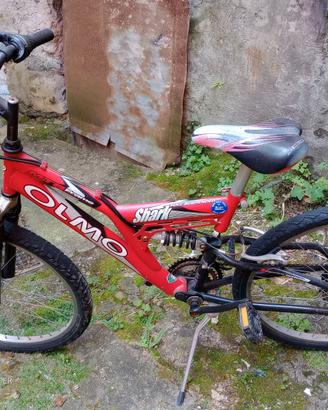 Bicicletta