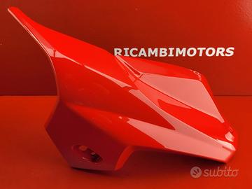 CARENA ANTERIORE SX BMW K 1300 R K1300R