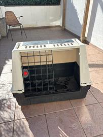 kennel cane taglia media