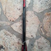 C4 carbon monoscocca 100