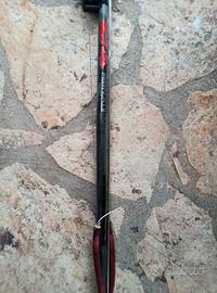 C4 carbon monoscocca 100