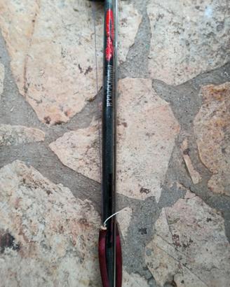 C4 carbon monoscocca 100