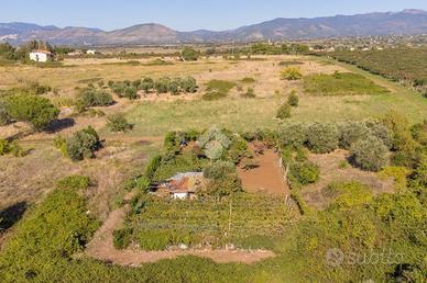 TER. AGRICOLO A ZAGAROLO