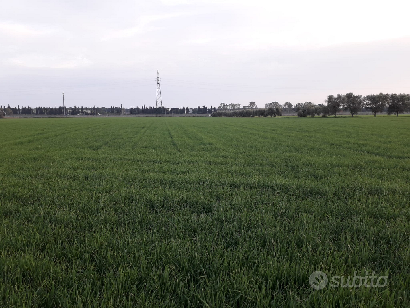 Terreno agricolo - Vista 4