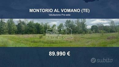 Immobile in asta di 8760 m² a Montorio al Vomano