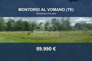 Immobile in asta di 8760 m² a Montorio al Vomano