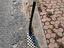 Immagine 3