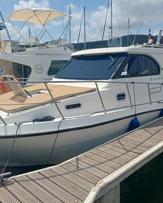 Plastik space 310 cruise